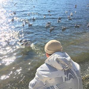 日韩欧群交P片内射中文
