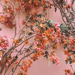 日韩欧群交P片内射中文
